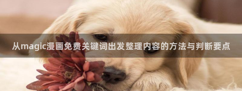 漫画免费看网址大全