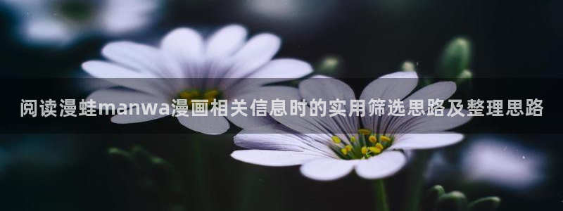 免费看漫画漫画资源